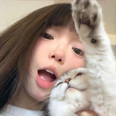 情网 封面